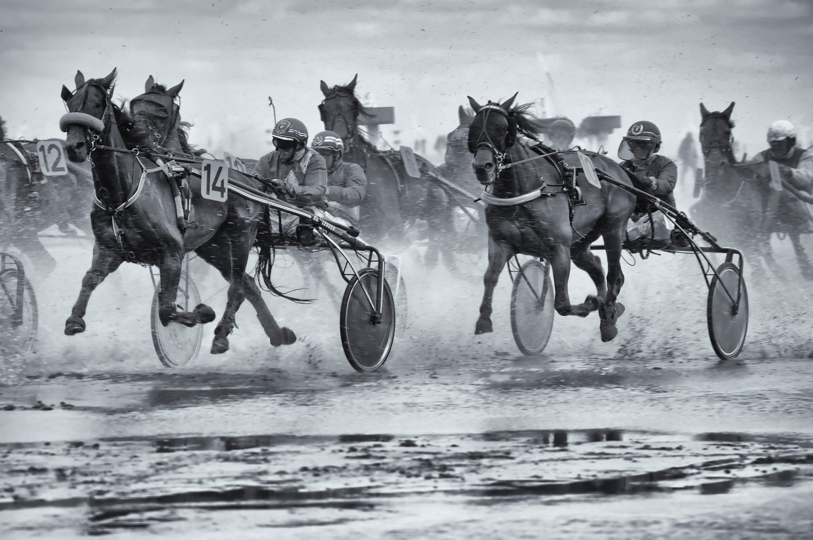 Harness Racing
